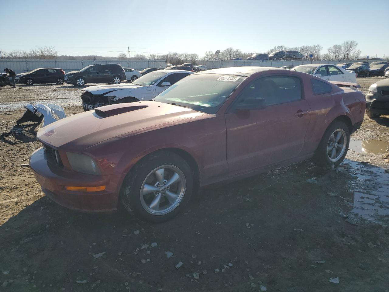  Salvage Ford Mustang