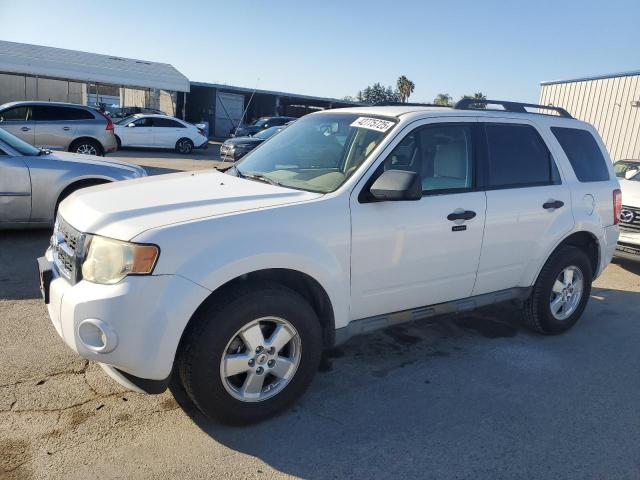 FORD ESCAPE XLT 2010 white  gas 1FMCU0D71AKC52091 photo #1