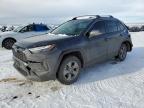 2024 TOYOTA RAV4 LE - JTMMWRFV4RD259376