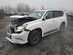2017 LEXUS GX 460 - JTJBM7FX9H5172307