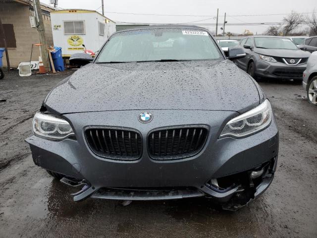 2016 BMW 228 XI SUL - WBA1L9C5XGV325028
