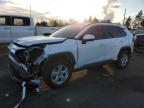 2019 TOYOTA RAV4 XLE - 2T3P1RFV3KW024908