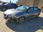 2016 NISSAN MAXIMA 3.5 - 1N4AA6AP2GC901739