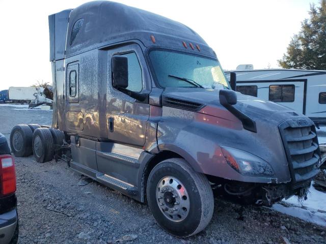 Global Auto Auctions: 2019 FREIGHTLINER CASCADIA 126
