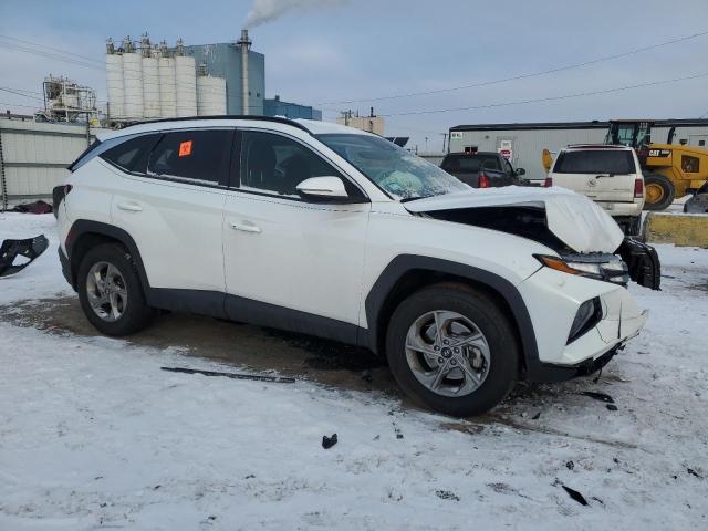 2022 HYUNDAI TUCSON SEL - 5NMJBCAE2NH041683