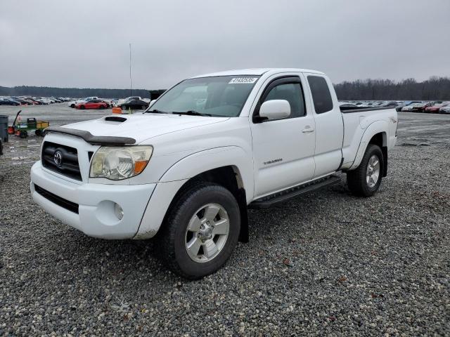 TOYOTA TACOMA ACC