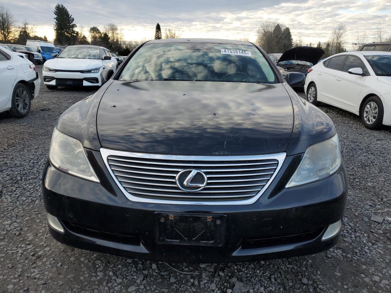 Lot #3050281910 2007 LEXUS LS 460