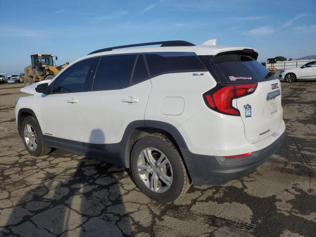 GMC TERRAIN SL 2020 white  gas 3GKALMEV8LL112841 photo #3