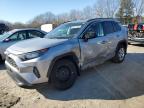 2020 TOYOTA RAV4 LE - 2T3F1RFVXLW091860