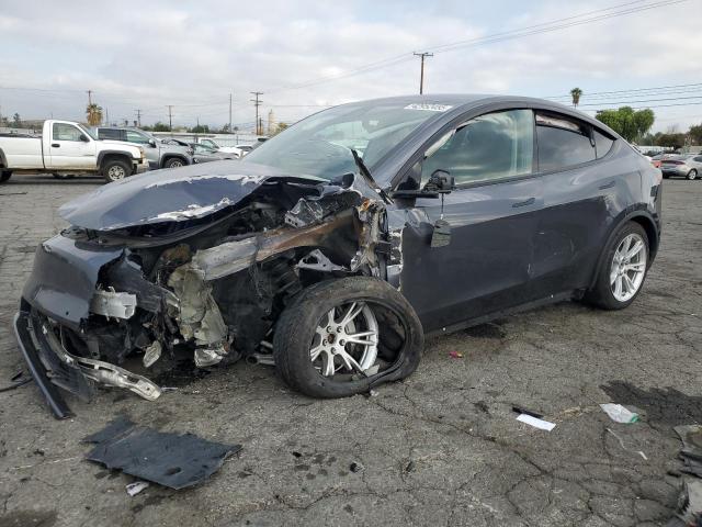 Vin: 5yjygdee7mf145294, lot: 42952455, tesla model y 2021 img_1