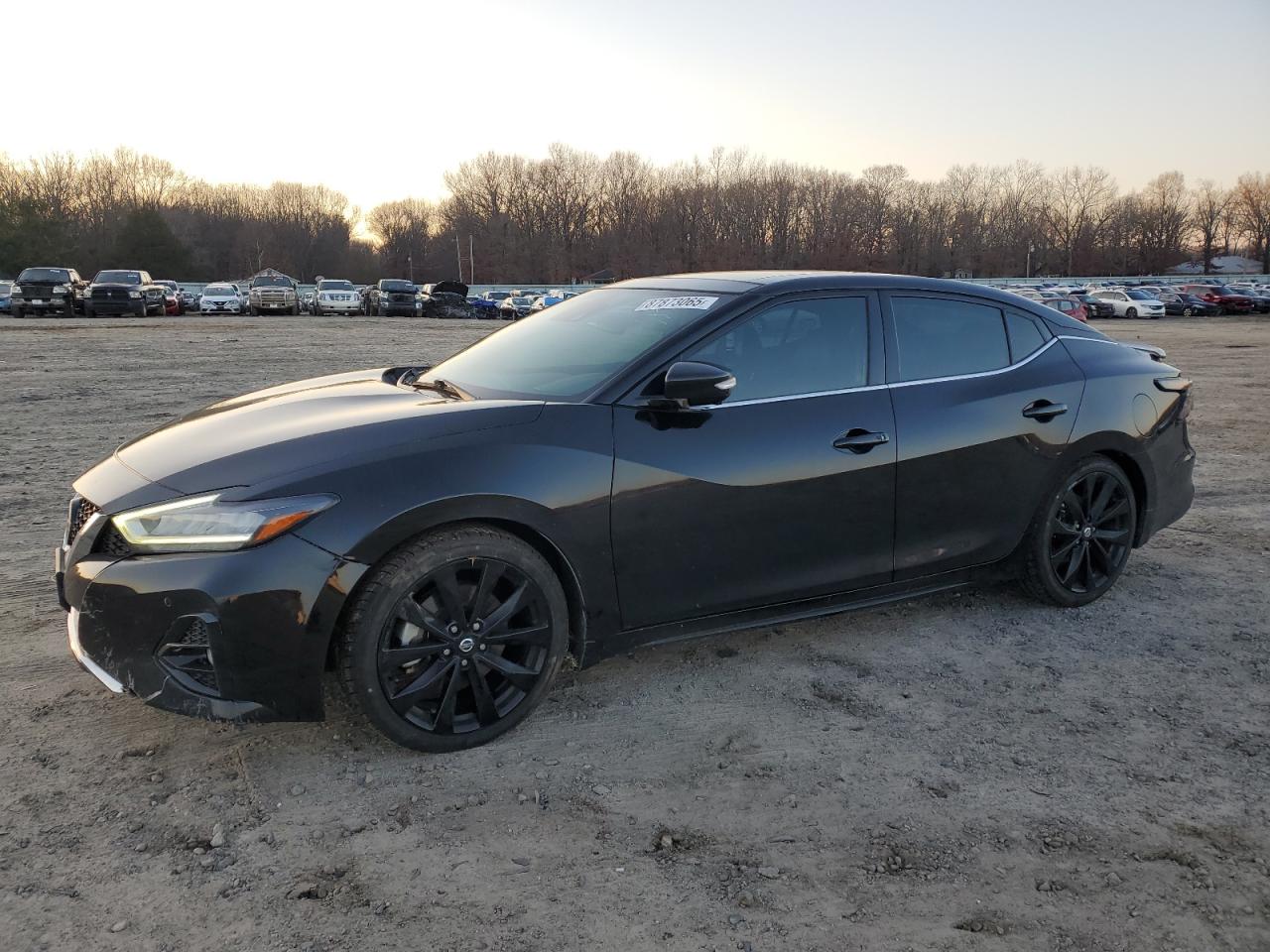 1N4AA6EV3LC377181 NISSAN MAXIMA SR 2020