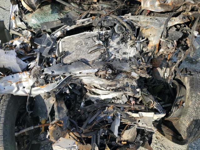 2023 TOYOTA TACOMA DOU #3260666667