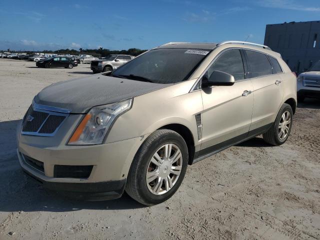 CADILLAC SRX LUXURY COLLECTION