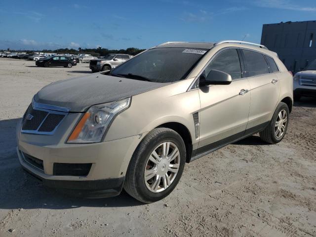 CADILLAC SRX LUXURY 2010 gold 4dr spor gas 3GYFNAEY9AS637117 photo #1