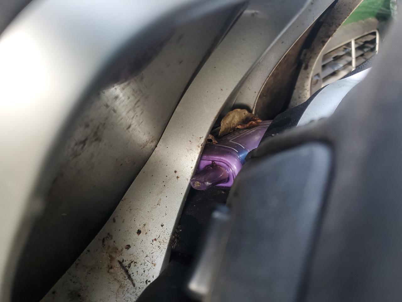 Global Auto Auctions