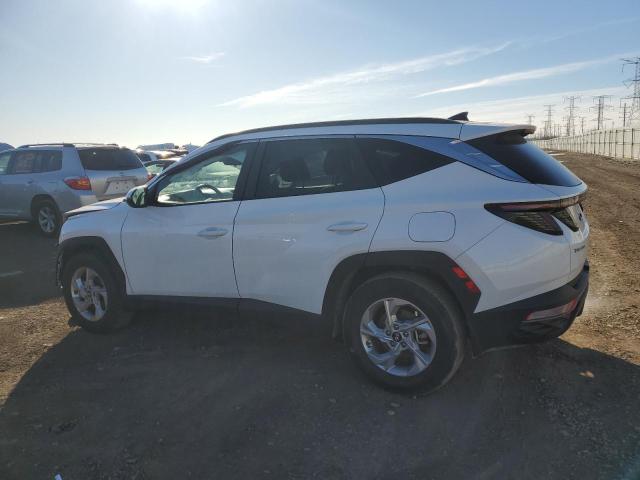 2023 HYUNDAI TUCSON SEL - 5NMJB3AE8PH264765