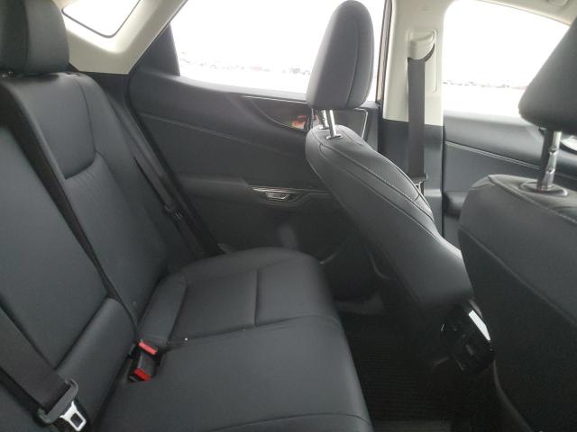 2023 LEXUS NX 250 - JTJADCAZ4P5010077