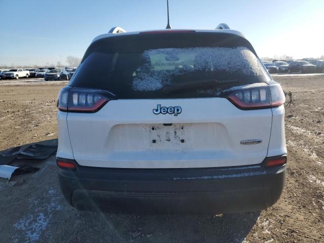 2019 JEEP CHEROKEE L - 1C4PJLLBXKD443875