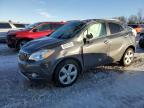 2016 BUICK ENCORE CON - KL4CJBSB9GB605681