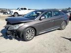 2016 HYUNDAI SONATA SPO - 5NPE34AFXGH270387