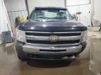 Lot #3303725431 2010 CHEVROLET SILVERADO