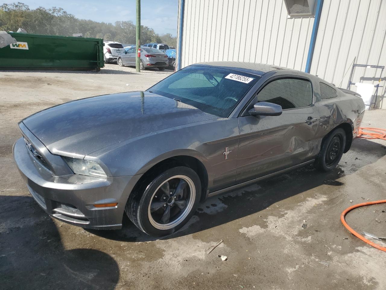 FORD MUSTANG