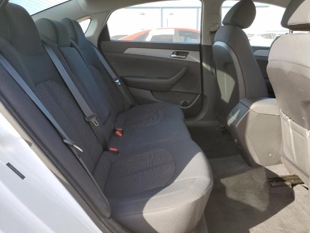 2019 HYUNDAI SONATA SE - 5NPE24AF2KH787291