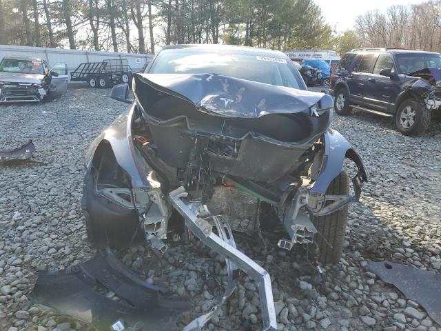 2023 TESLA MODEL Y - 7SAYGDEE8PF886156