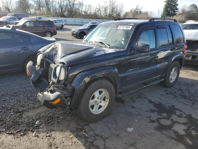 JEEP LIBERTY LI