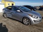 HYUNDAI ELANTRA SE photo