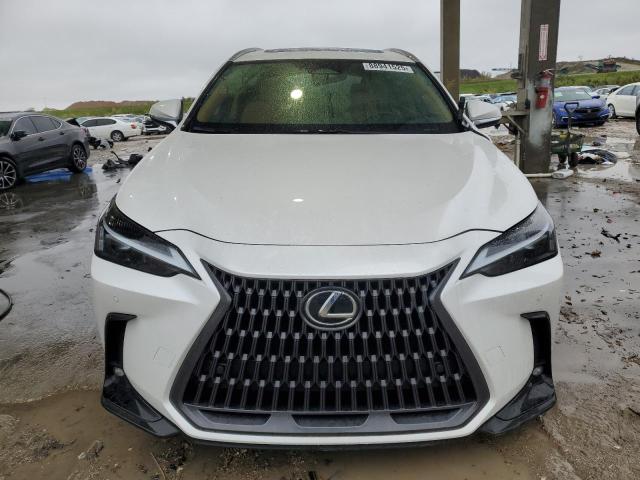 2024 LEXUS NX 250 PRE 2T2GDCAZ2RC012246