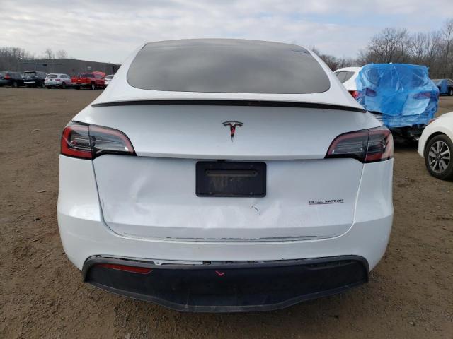 2023 TESLA MODEL Y - 7SAYGDEFXPF855628