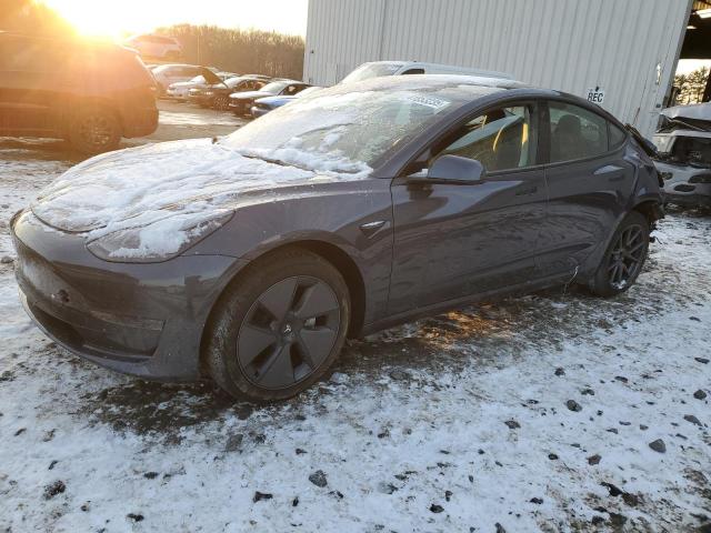 2023 TESLA MODEL 3 - 5YJ3E1EA2PF688228