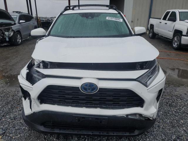 2019 TOYOTA RAV4 XLE - 2T3RWRFV4KW018741