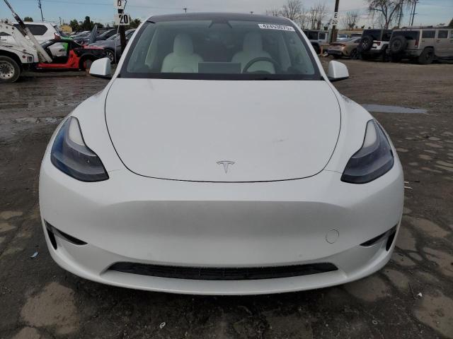 2021 TESLA MODEL Y - 5YJYGDEF4MF201815