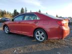 TOYOTA CAMRY HYBR photo