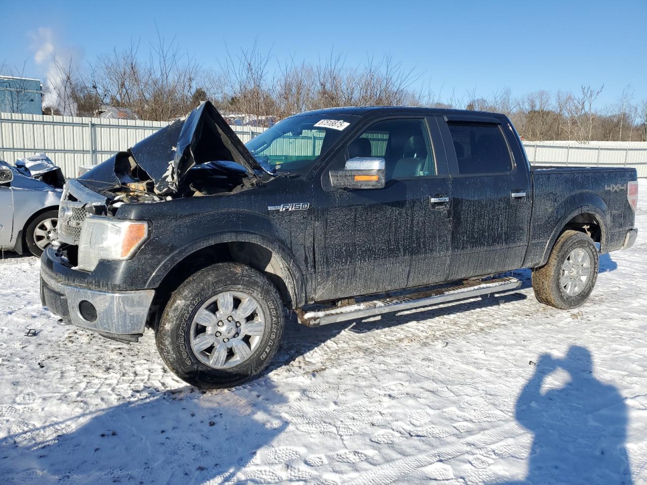  Salvage Ford F-150