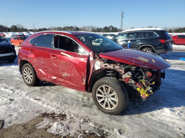 2020 LEXUS NX 300 JTJDARDZ6L5006241