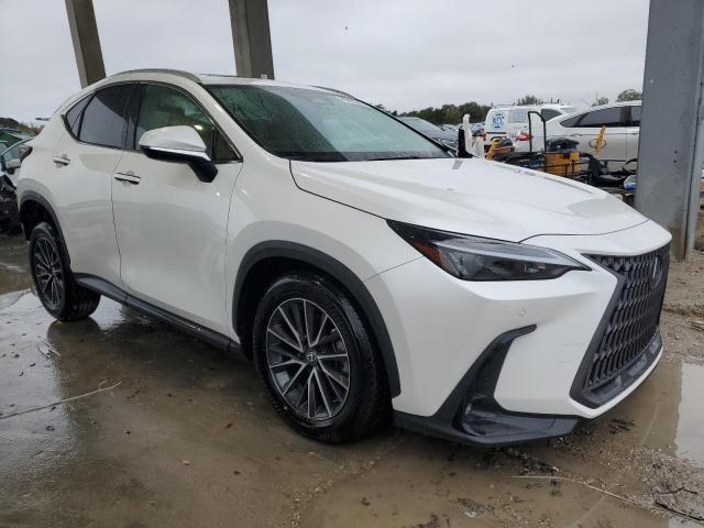 2024 LEXUS NX 250 PRE 2T2GDCAZ2RC012246