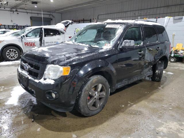 FORD ESCAPE XLT