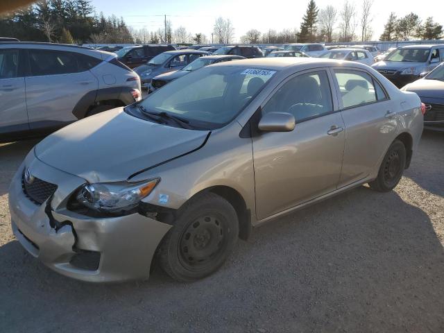 Vin: 2t1bu4ee8ac429905, lot: 41368765, toyota corolla base 2010 img_1