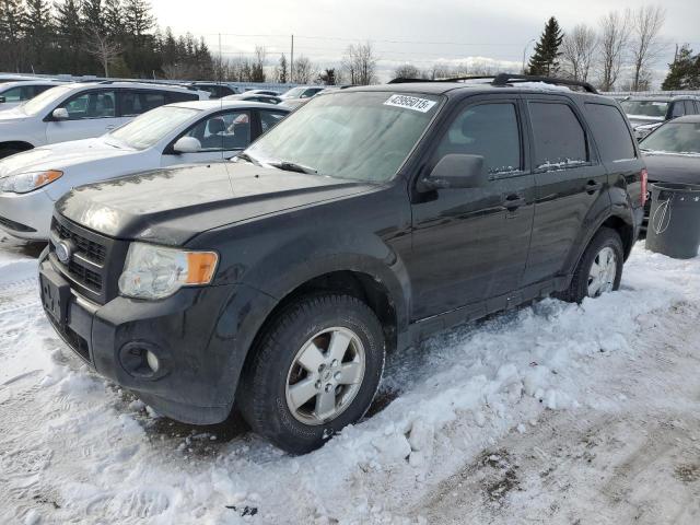 FORD ESCAPE XLT