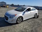 Lot #3055609534 2013 HYUNDAI SONATA HYB