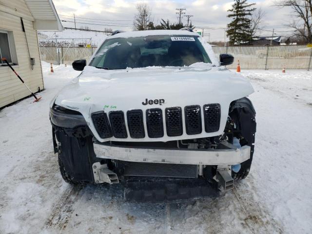2023 JEEP CHEROKEE A 1C4PJMMB2PD111523