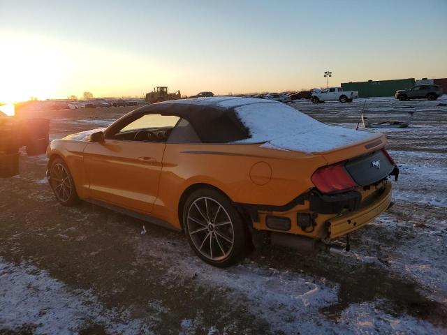 2019 FORD MUSTANG - 1FATP8UH2K5172002