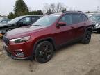 2020 JEEP CHEROKEE L - 1C4PJMLX4LD593810