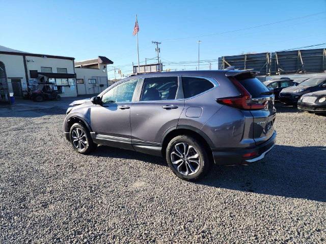 HONDA CR-V EXL 2022 gray  Gasoline 2HKRW2H8XNH636429 photo #3