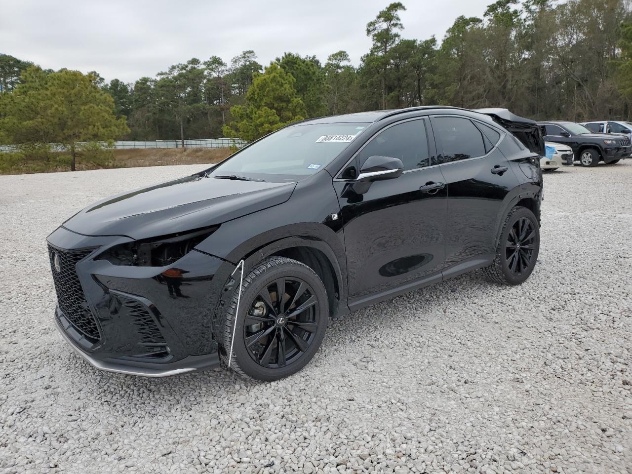 JTJKGCEZ8P5005034 LEXUS NX 350 2023