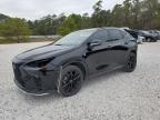 2023 LEXUS NX 350 - JTJKGCEZ8P5005034