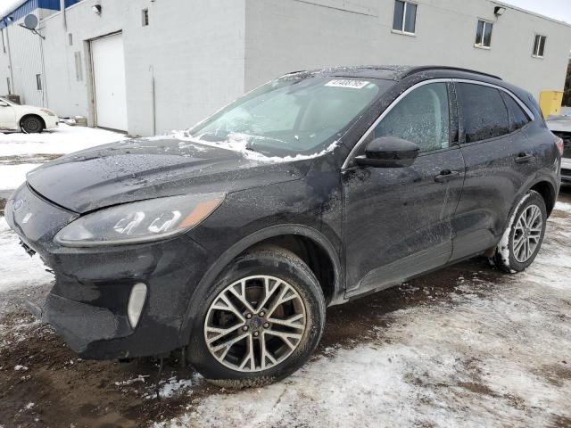 FORD ESCAPE SEL